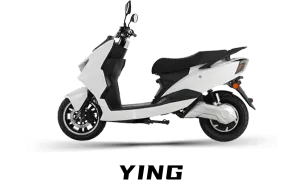 XDAO HIGH SPEED LONG RANGE GREEN ELECTRIC SCOOTER EEC