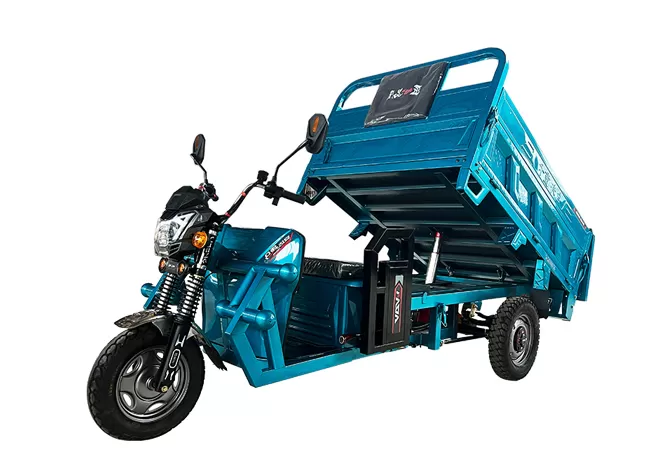 Five Reasons You Need Electric Tricycles
