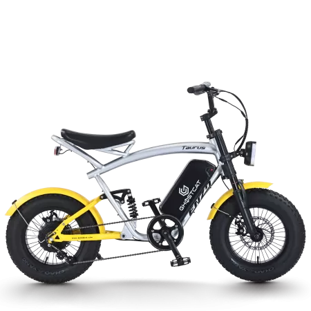 16 Taurus